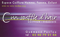 Logo de l'entreprise C'est un souffle d'air